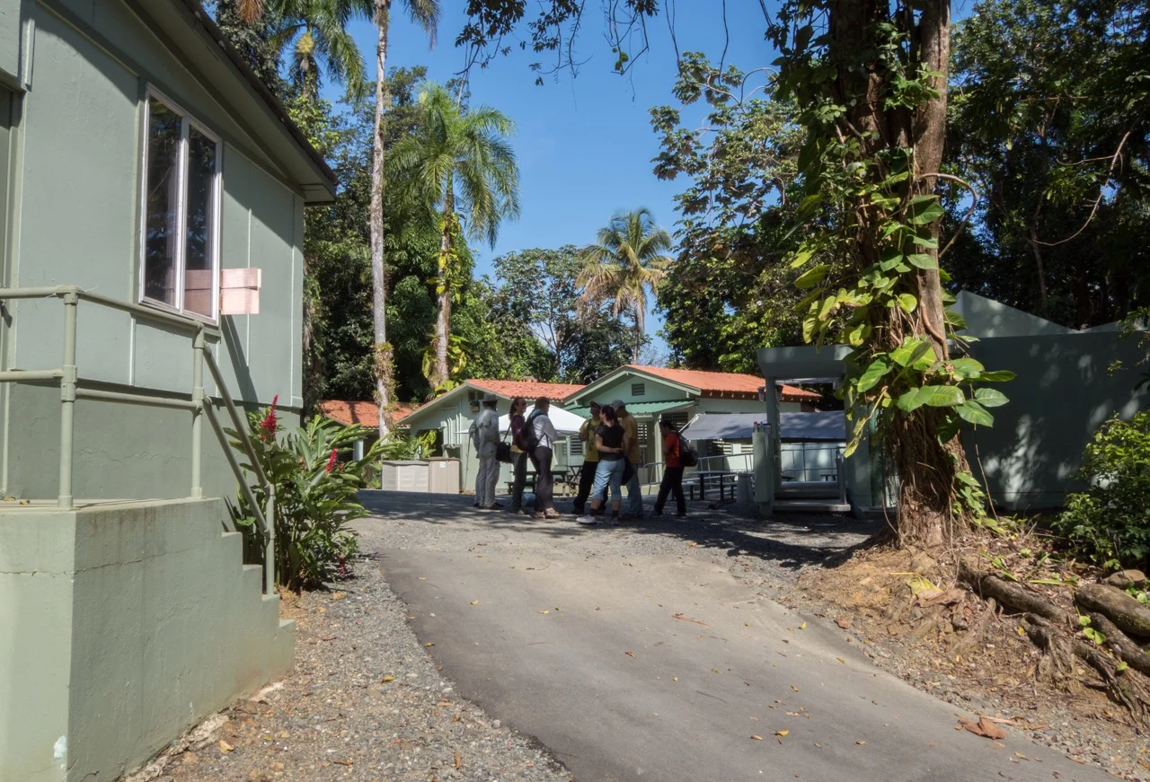 Edificios y visitantes en la estación de campo El Verde, rodeada de palmas y árboles.