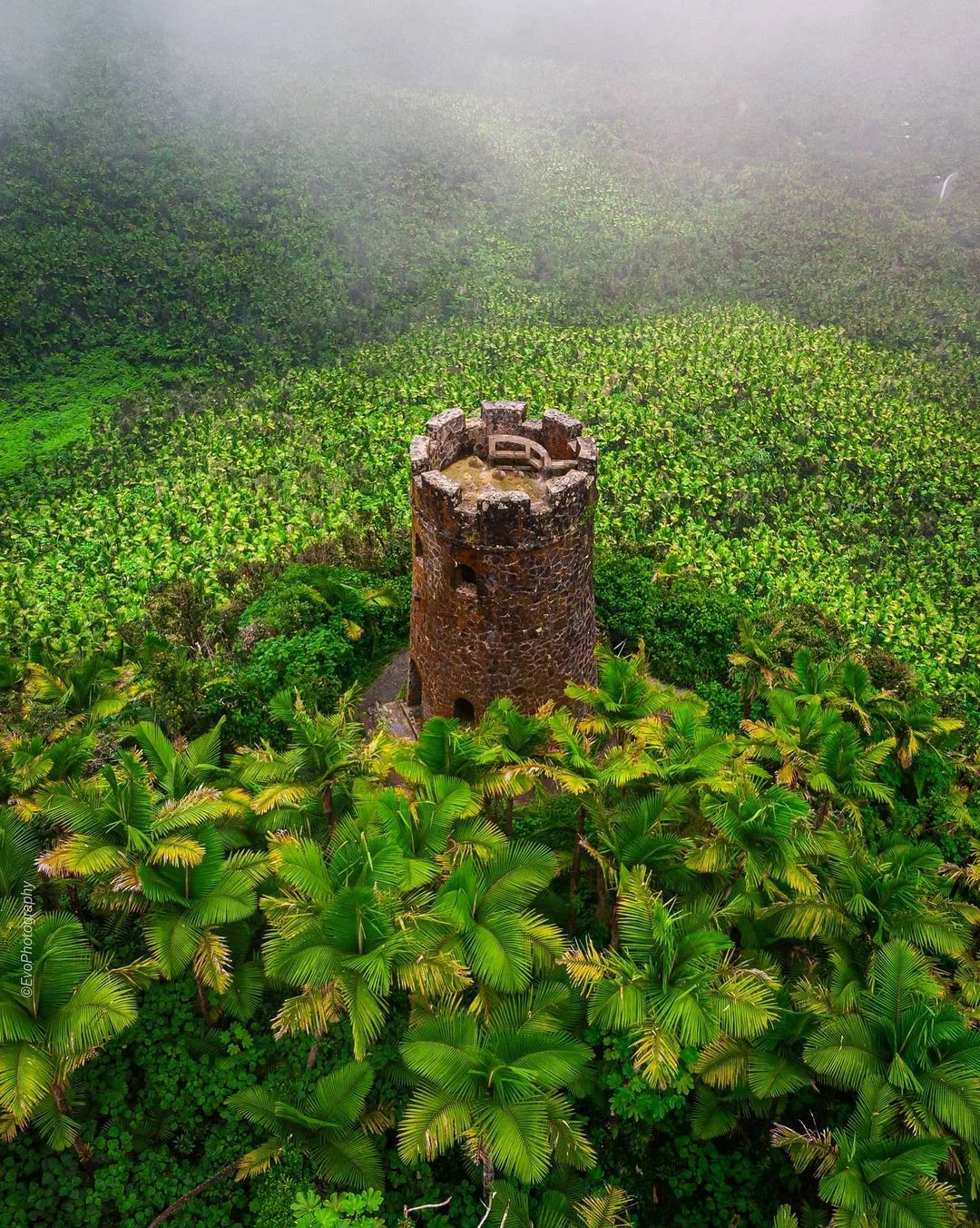 foto-mt-britton-lookout-tower.jpg