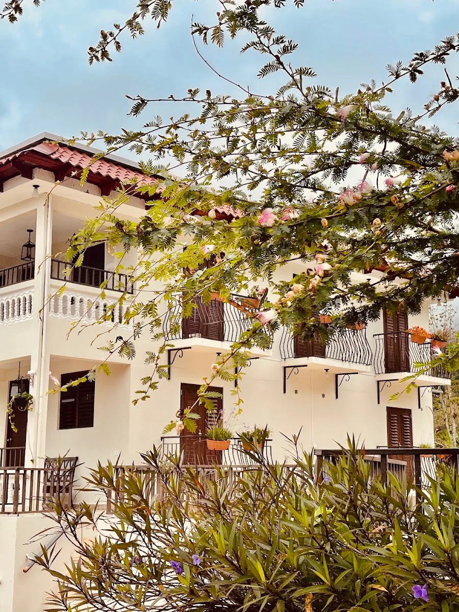 Hacienda Moraica 