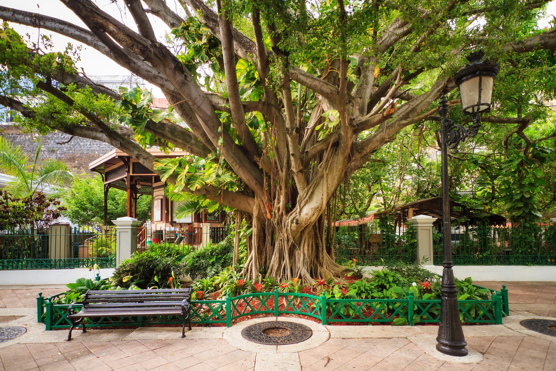 Diez parques hermosos para visitar con toda tu familia este fin de semana
