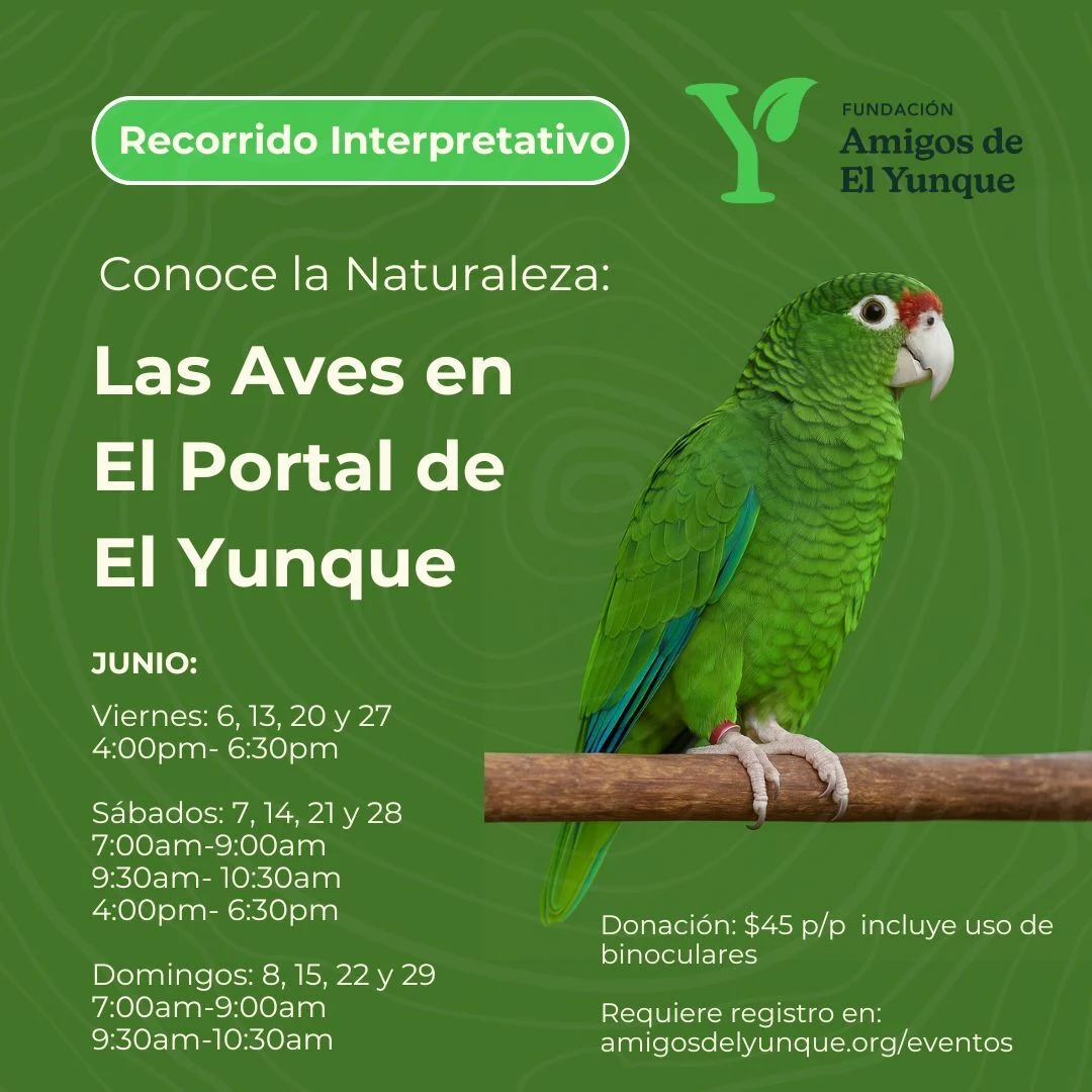 Avistamiento-de-Aves.jpg