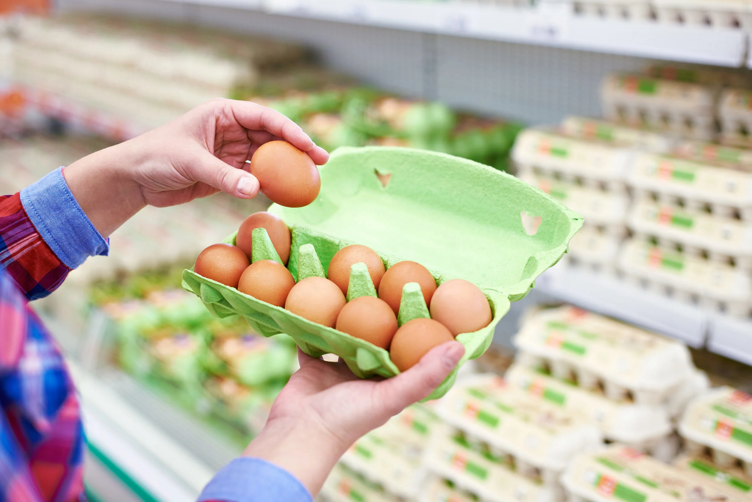 huevos-importados-oportunidad-produccion-puerto-rico
