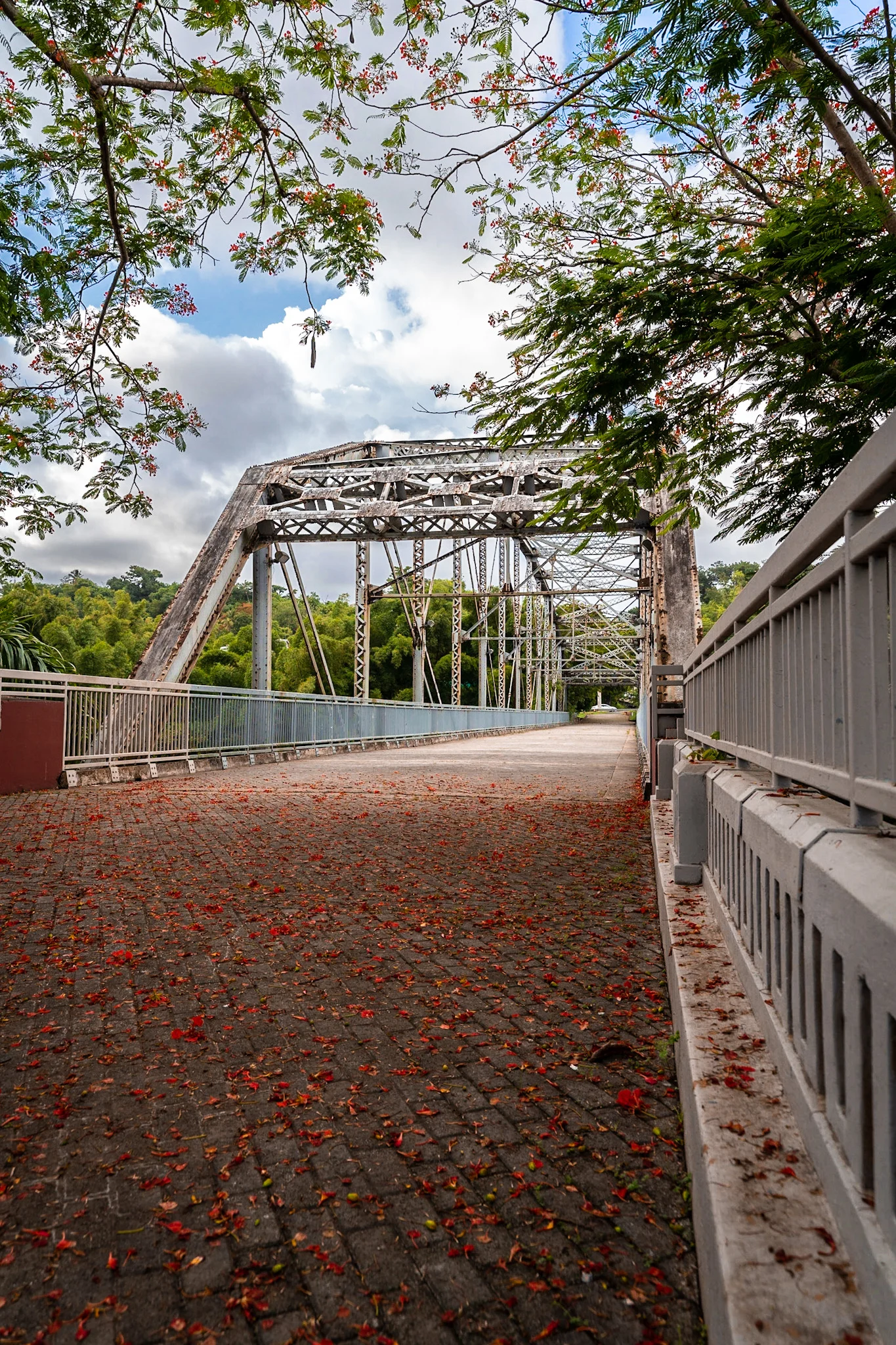 Paseo-del-Bicentenario-.jpg