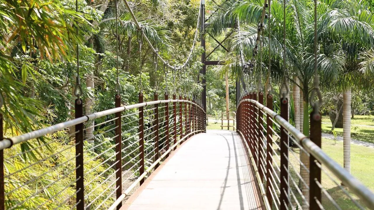 jardin-botanico-y-cultural-de-caguas