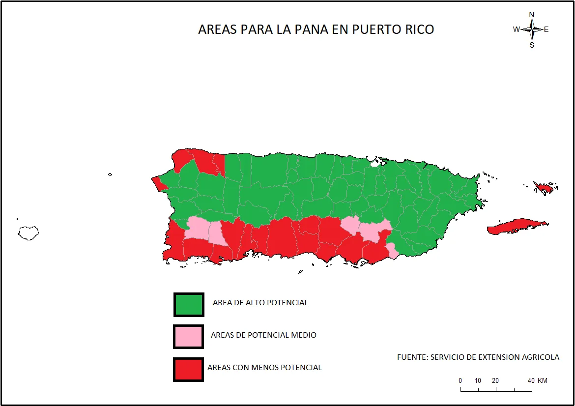 mapa-puerto-rico-municipios-pana.png