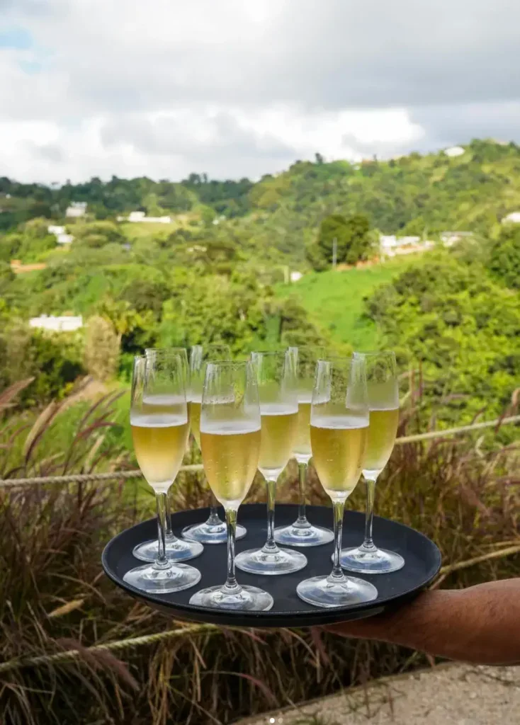 38 restaurantes y barras con vistas increíbles para disfrutar en Puerto Rico