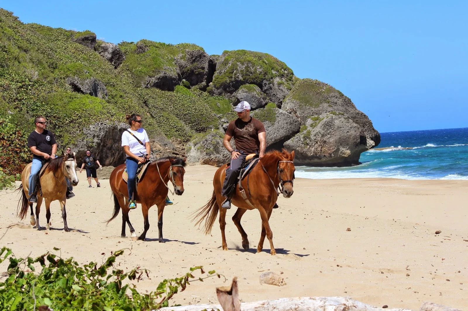 Google owner photo. Attribution: Tropical Trail Rides (https://maps.google.com/maps/contrib/103161903515177879870)