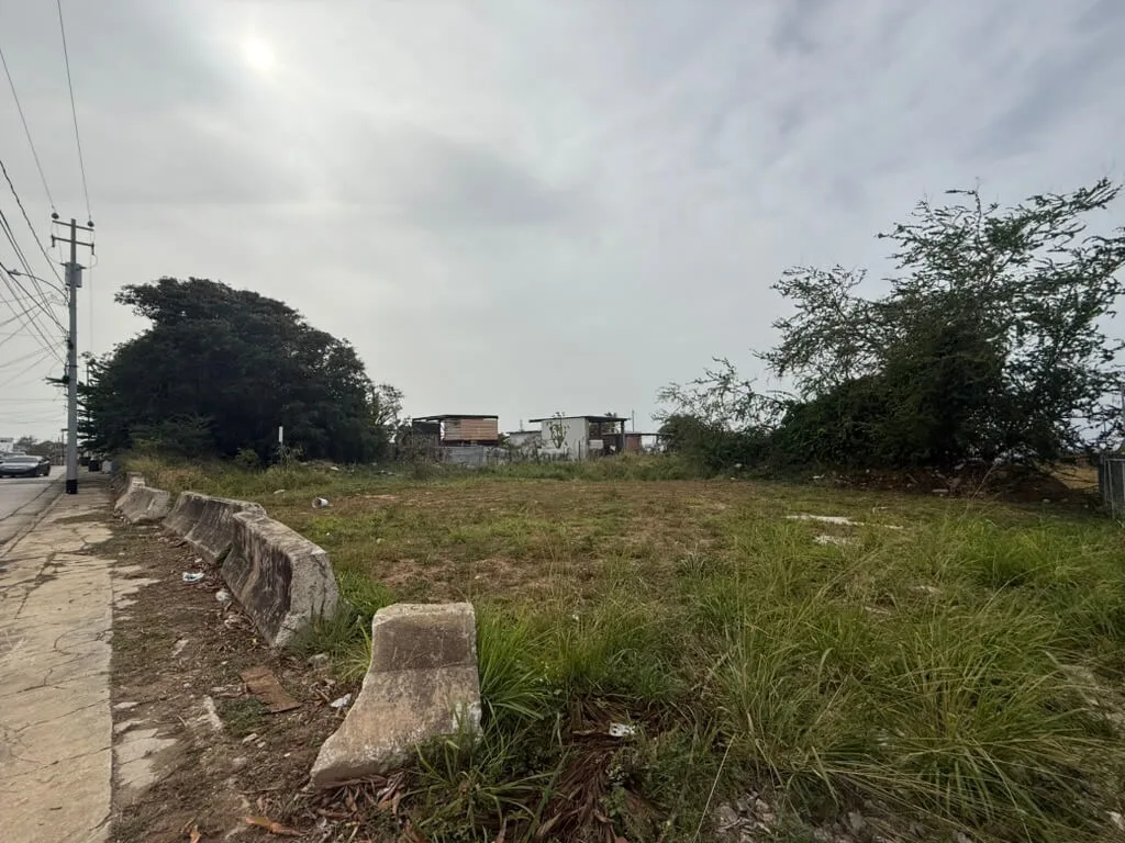 Esto planean hacer los compradores de estorbos en la primera subasta pública de Isabela