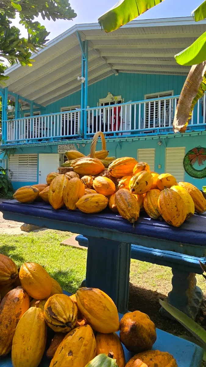Imported from Google Places. Attribution: La Casa Azul Bed and Breakfast (https://maps.google.com/maps/contrib/103748754815395803753)