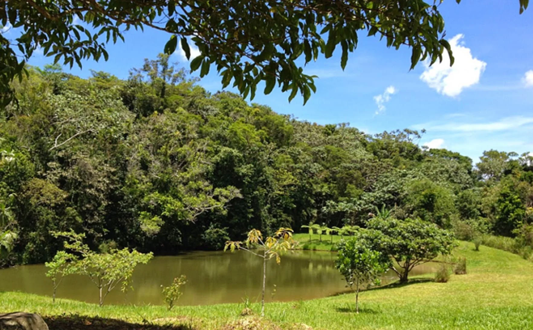 Bosque_Estatal_Monte_Choca_d26e6989fc.jpg