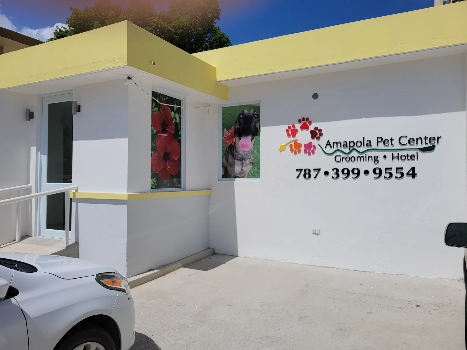 Google owner photo. Attribution: Amapola Pet Center (https://maps.google.com/maps/contrib/114102525293017643937)