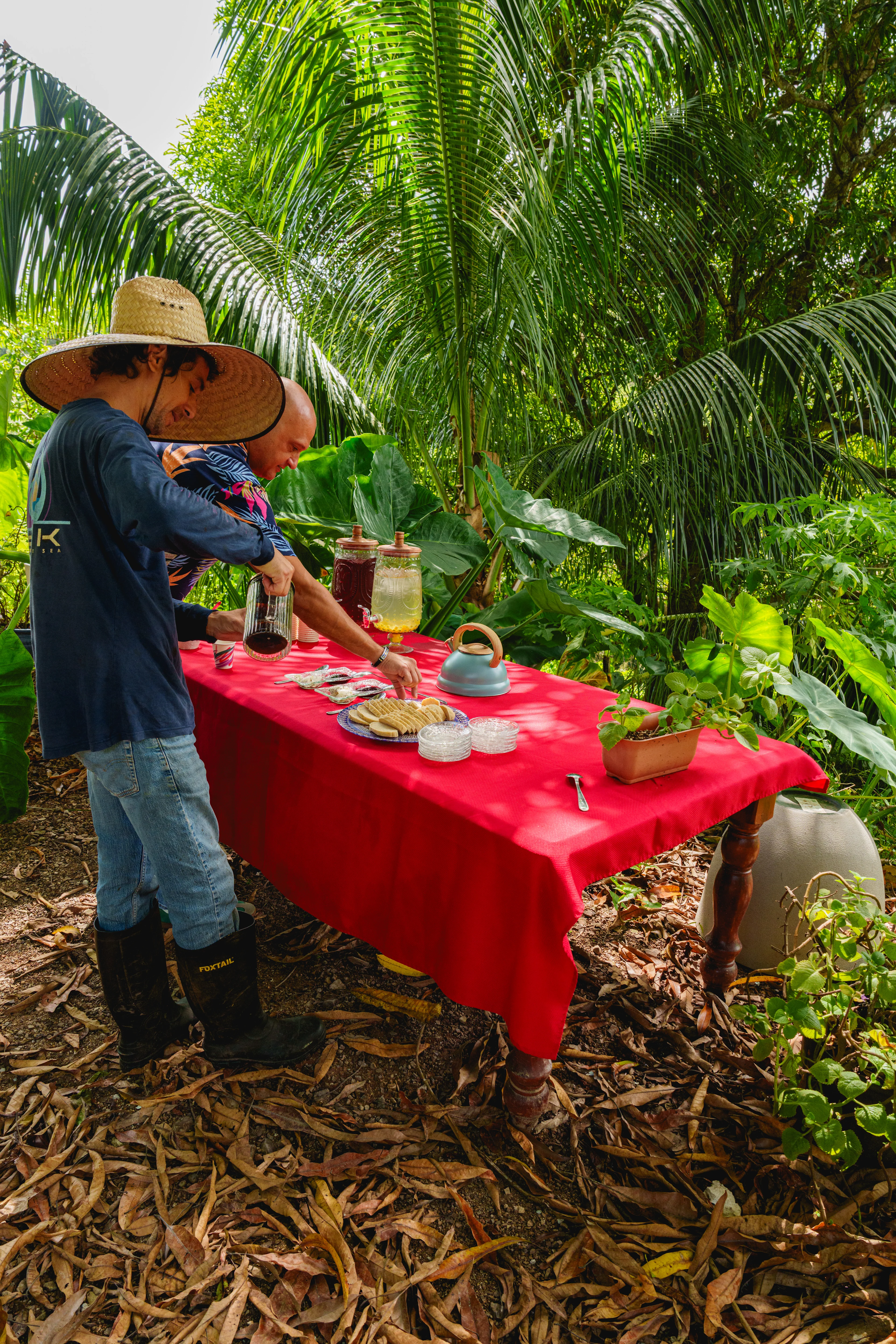 Persona con sombrero de paja sirve bebidas en mesa roja bajo palmas en jardín tropical con plantas y hojas secas.