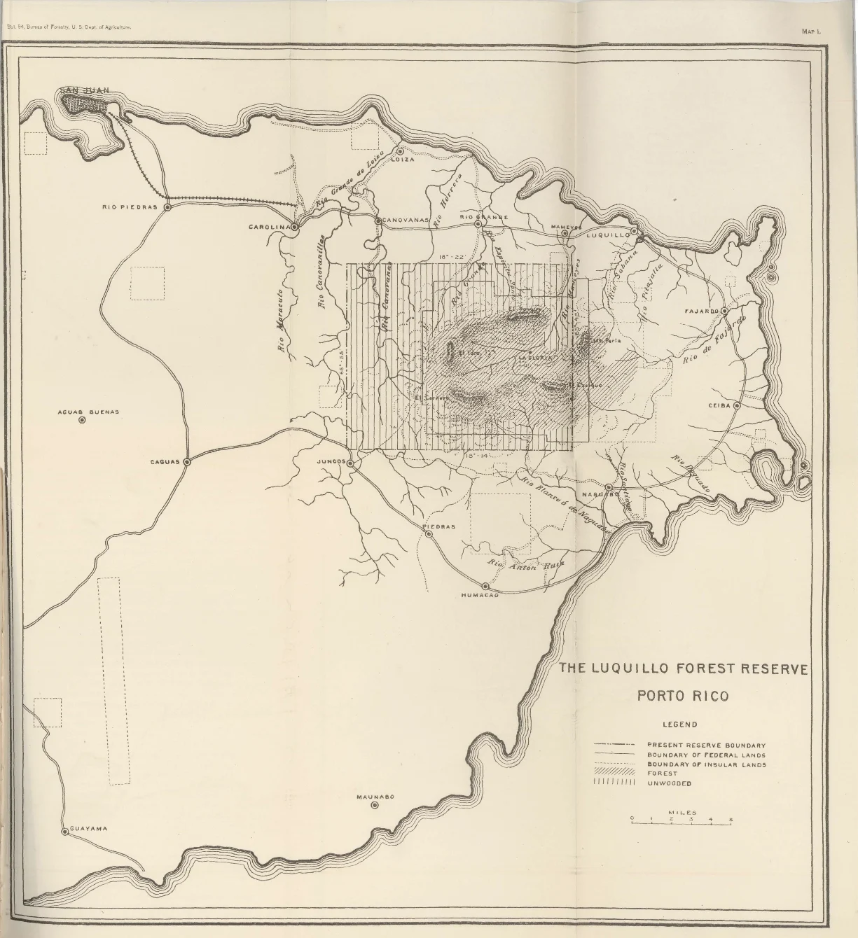 Mapa de 1905 de la Reserva Forestal de Luquillo en el este de Puerto Rico.