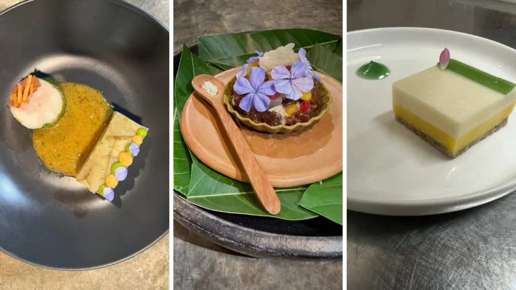 Nace una alianza que lleva las algas marinas boricuas a las cocinas de los chefs