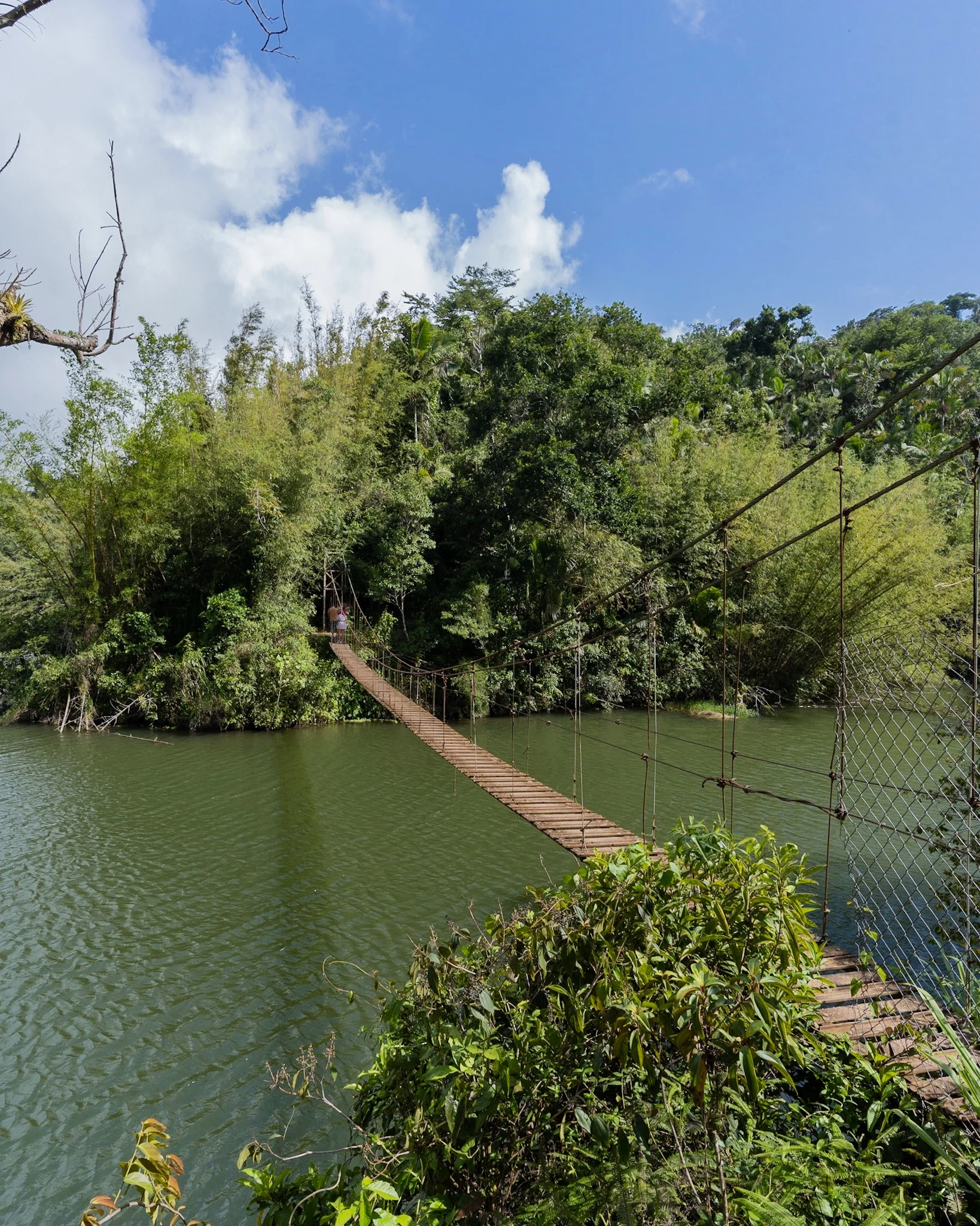 Puente-Hamaca-2.jpg
