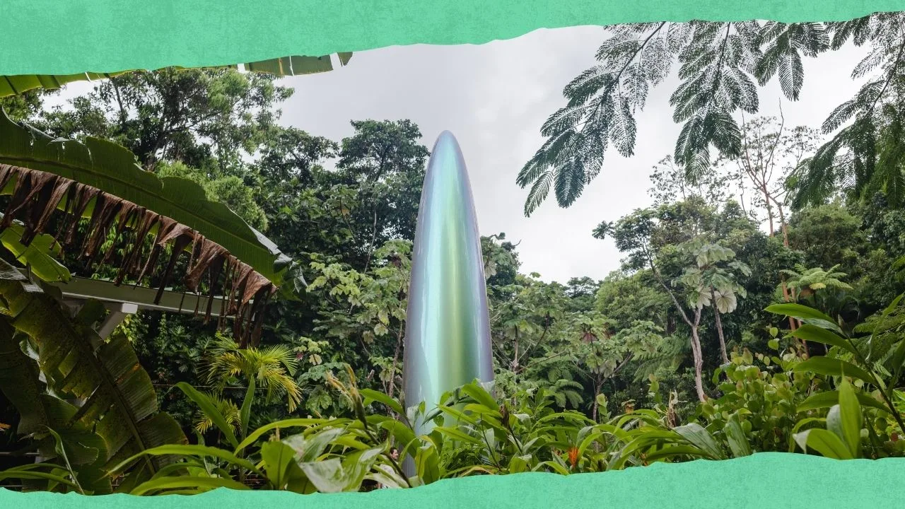 arteyunque-convierte-el-portal-en-galeria-al-aire-libre-con-exposicion-sobre-los-rios-del-bosque