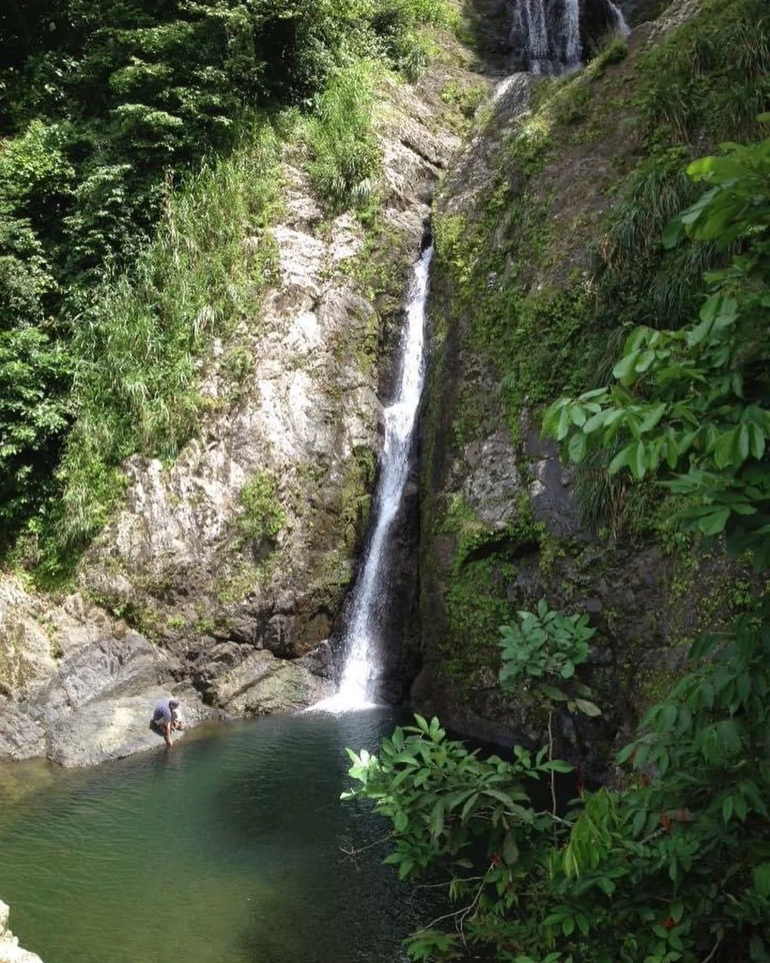 Bosque-Estatal-Toro-Negro.jpg