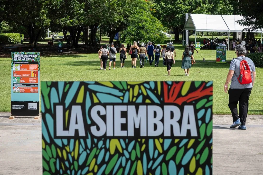 la-siembra-el-papel-crucial-de-los-arboles-para-mitigar-el-calor-extremo-en-puerto-rico