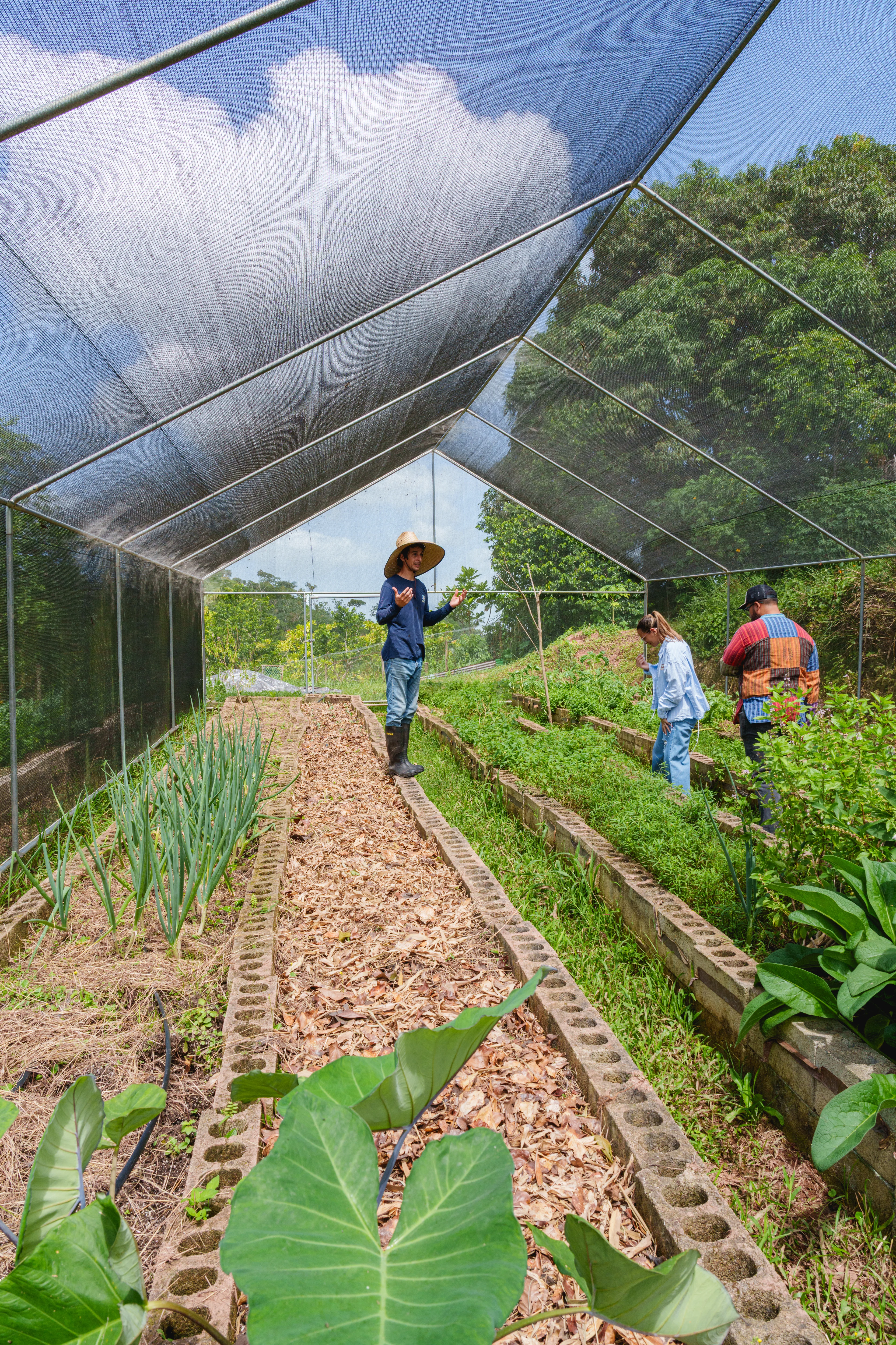 Tres personas trabajan en un huerto comunitario bajo malla sombra, con canteros elevados de bloques y plantas verdes.