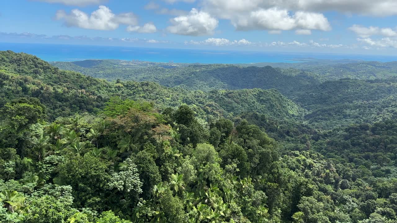 El dosel de El Yunque se extiende hasta la costa y el mar bajo un cielo azul.
