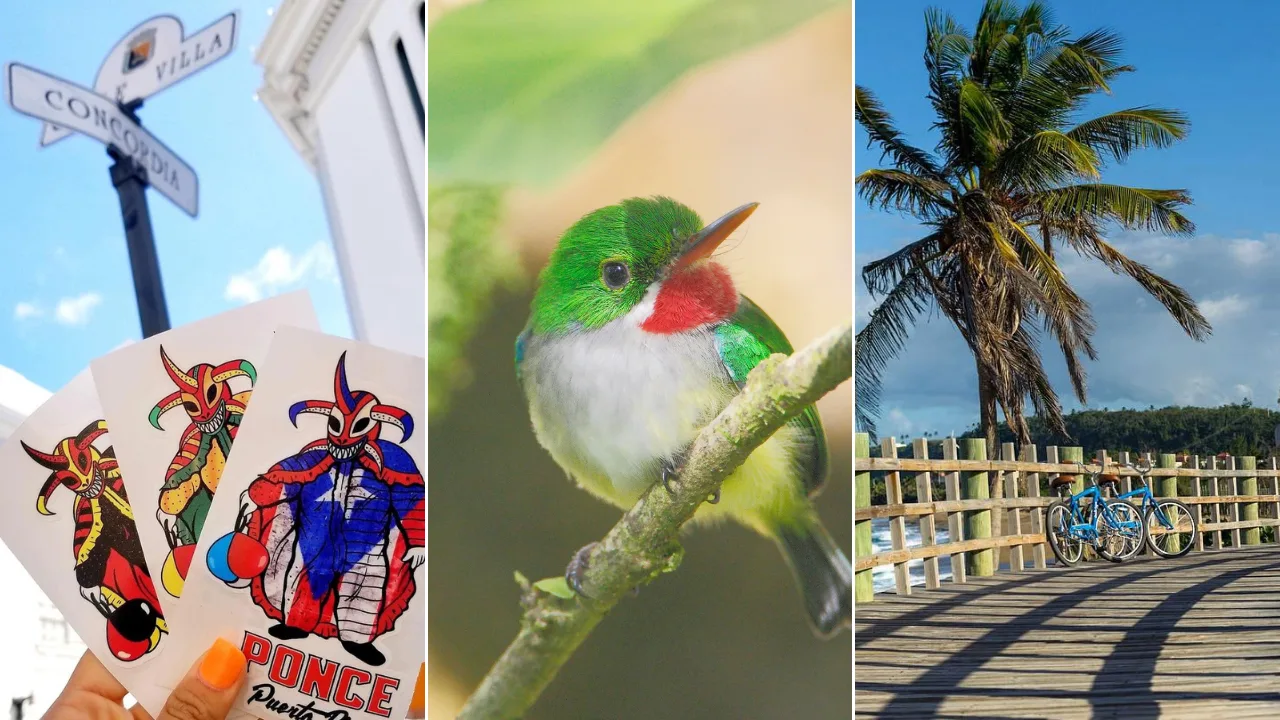 excursiones-y-tours-para-hacer-en-familia