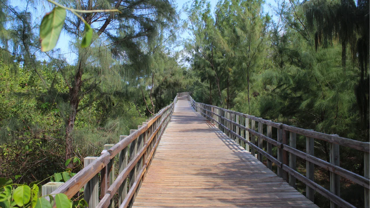 las-mejores-rutas-para-correr-en-puerto-rico