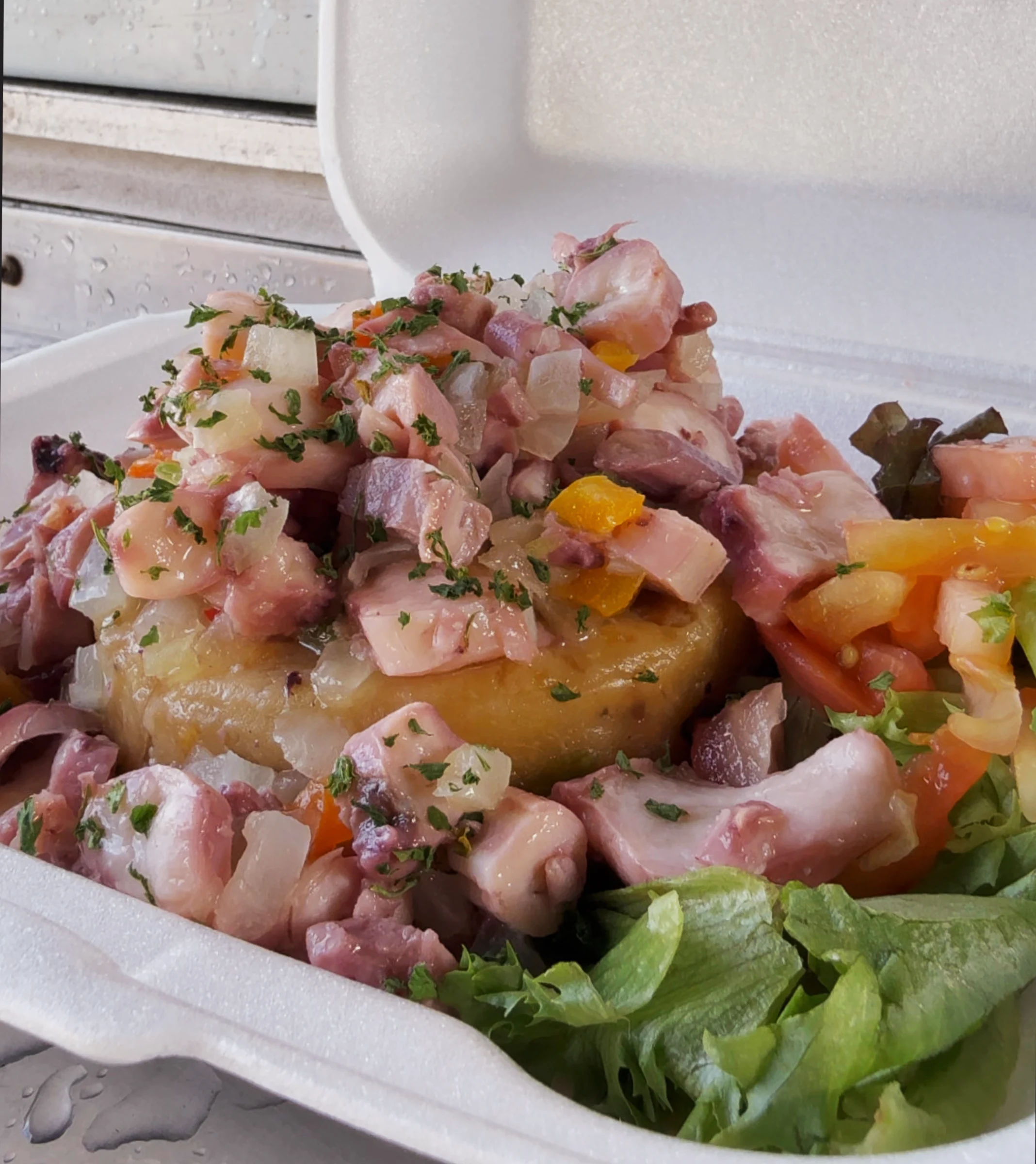 WILLYS-MOFONGO.png