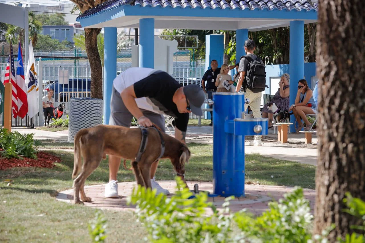 Pet-park-2-.jpeg