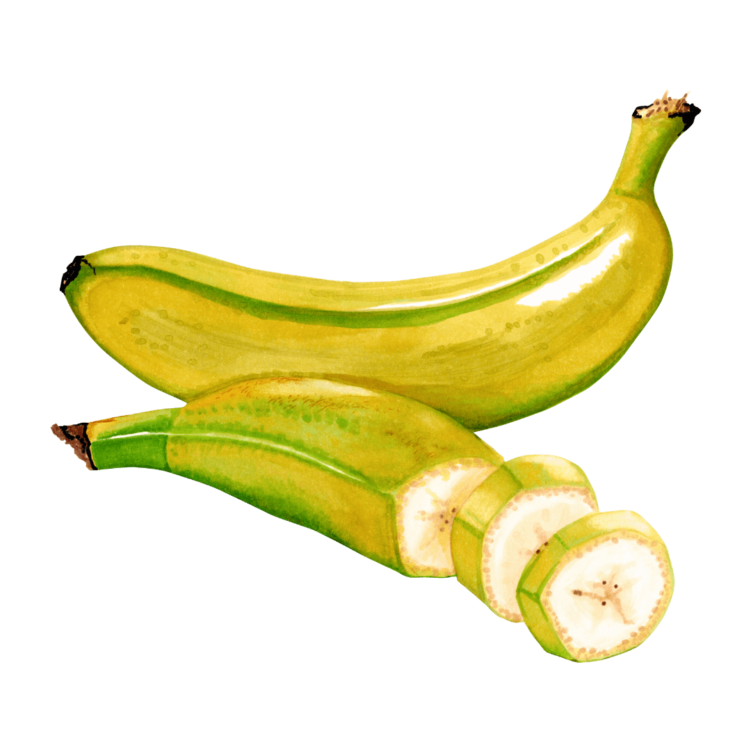 Farináceos