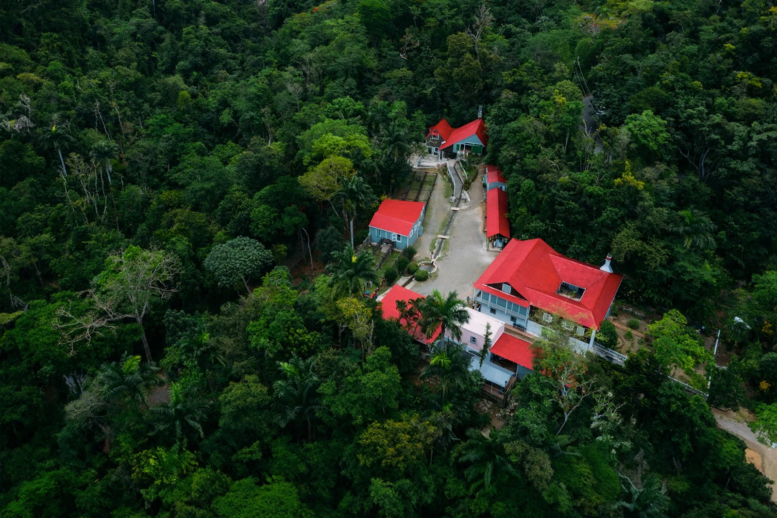 Google owner photo. Attribution: Hacienda Buena Vista - Para la Naturaleza (https://maps.google.com/maps/contrib/114612517971948292745)