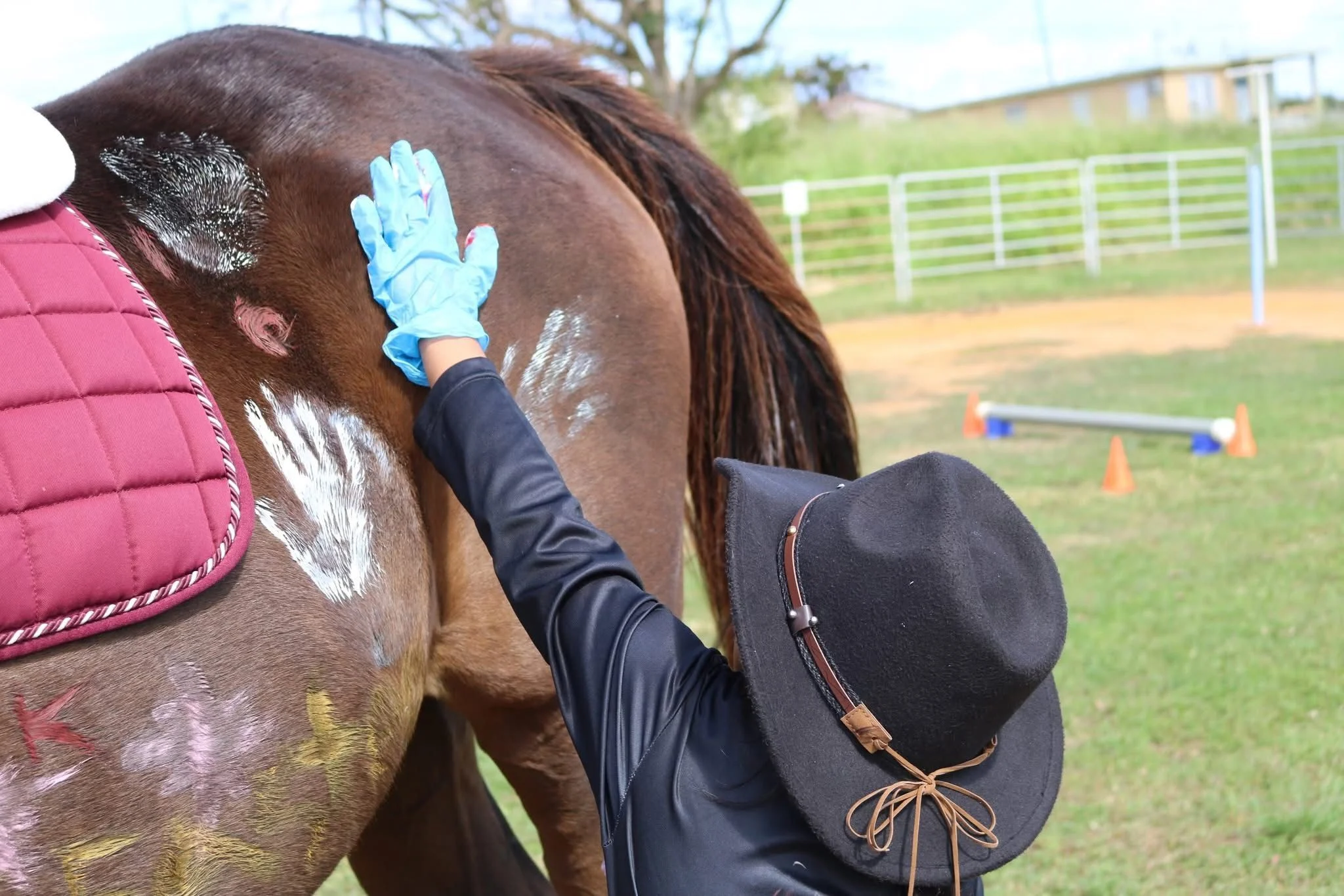 spotlight-horses-of-hope-terapia-a-traves-de-caballos-en-isabela