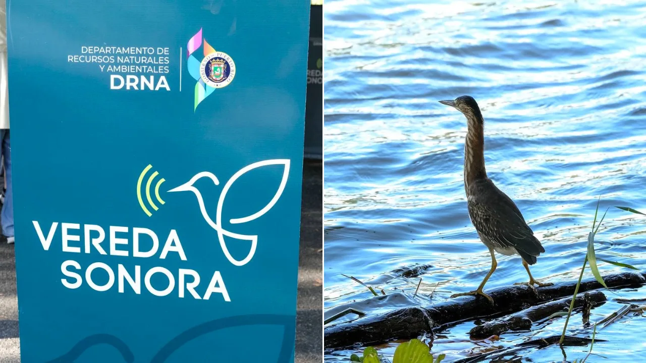 drna-senderos-para-personas-con-discapacidad-visual