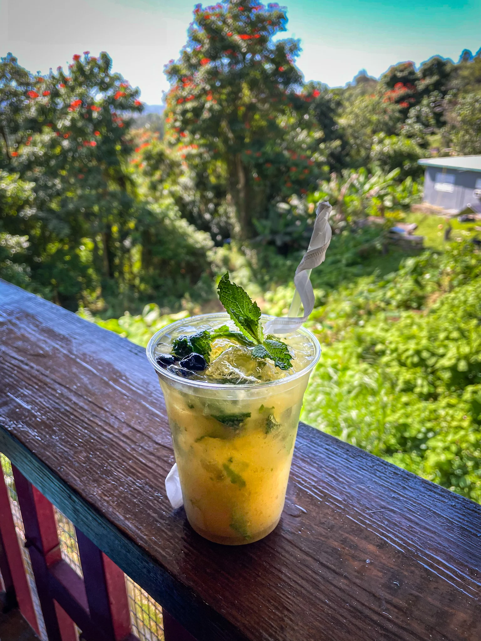 AlaVera Bar and Grill - mojito
