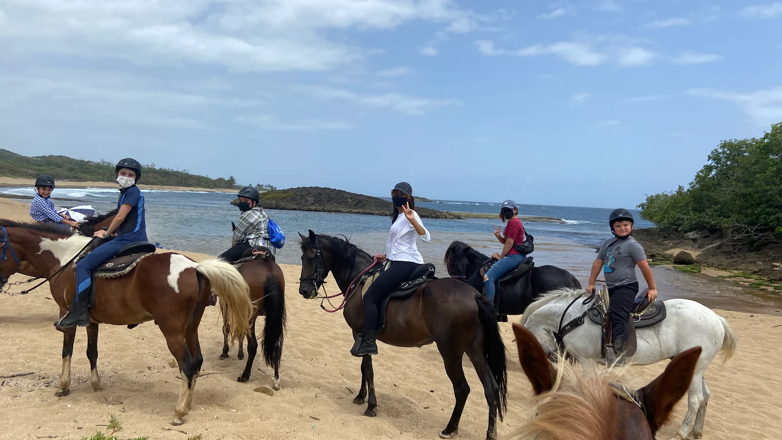 Google owner photo. Attribution: Horseback Riding Manati (https://maps.google.com/maps/contrib/113769215212481702837)