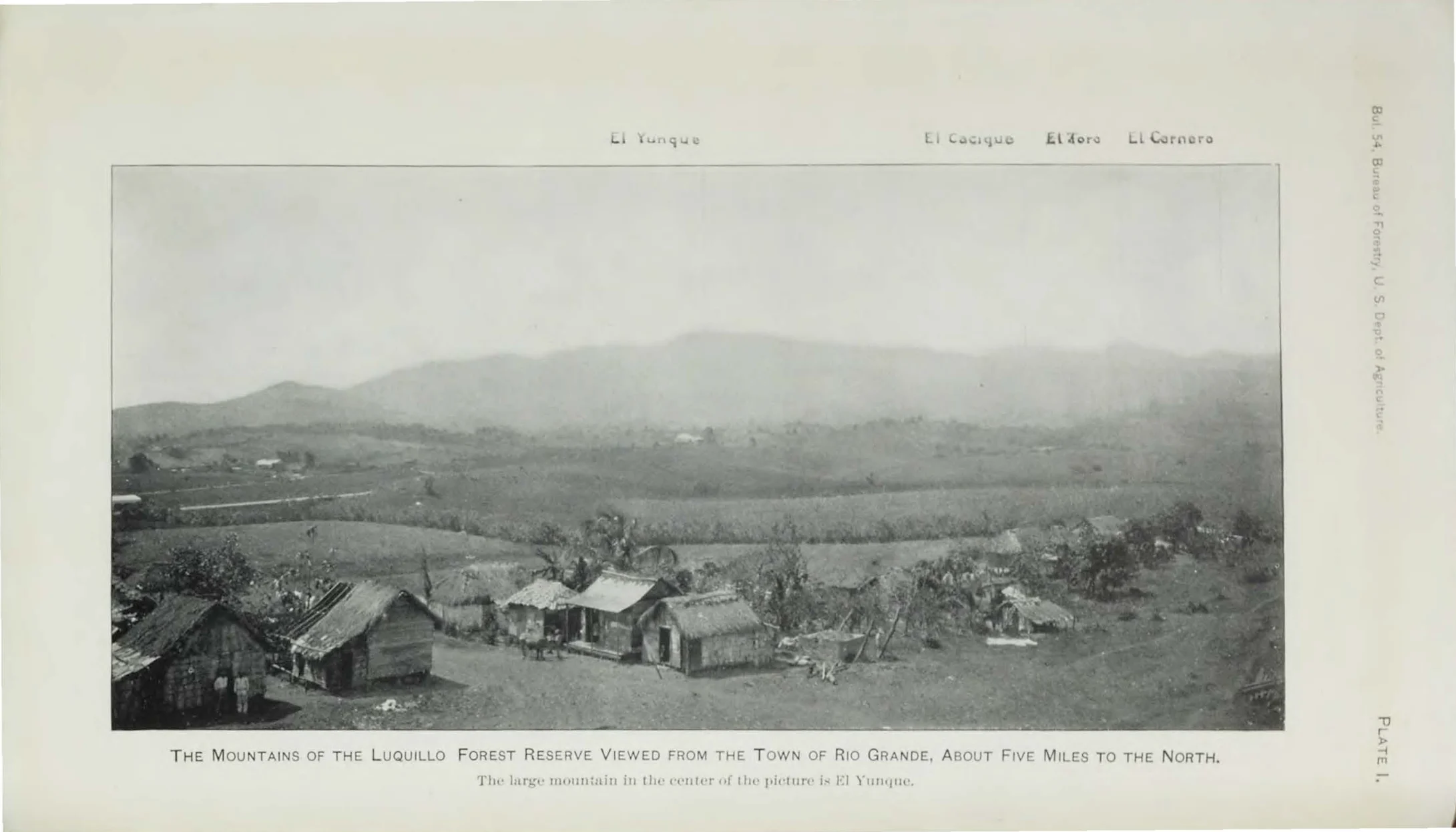 Lámina de 1905: las montañas de la Reserva Forestal de Luquillo vistas desde Río Grande.