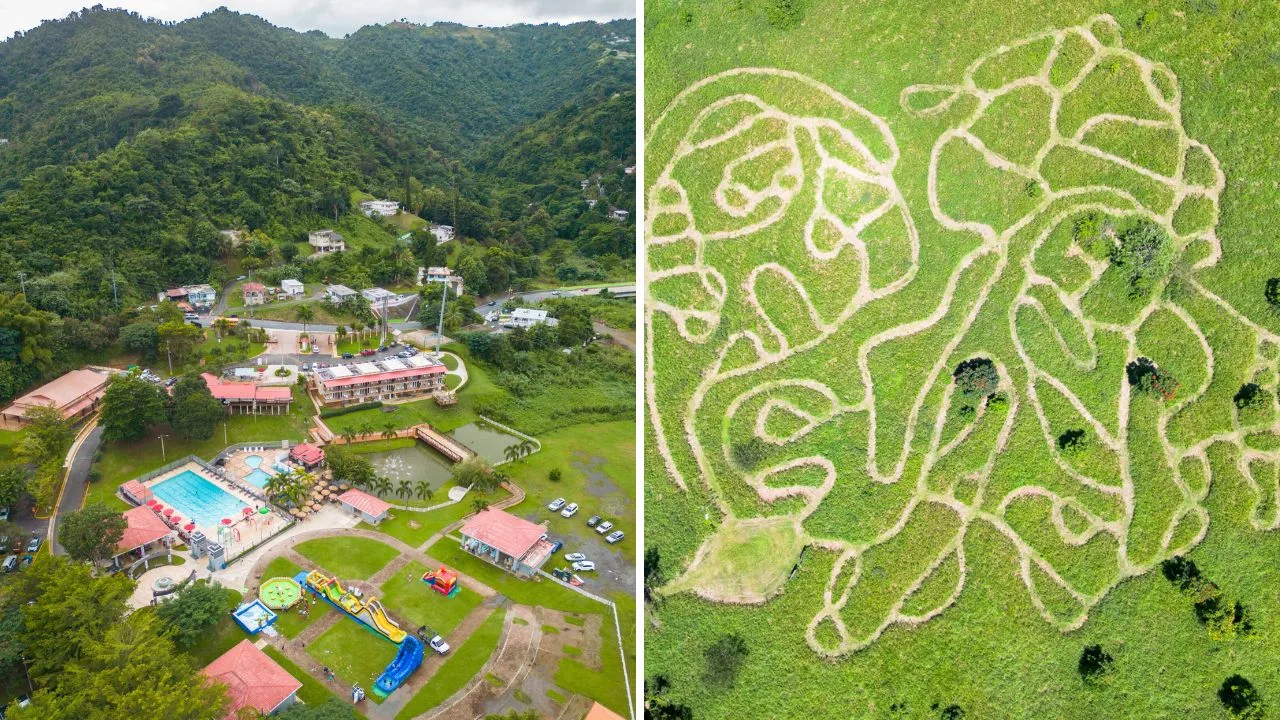 experiencias-al-aire-libre-para-ninos-en-puerto-rico