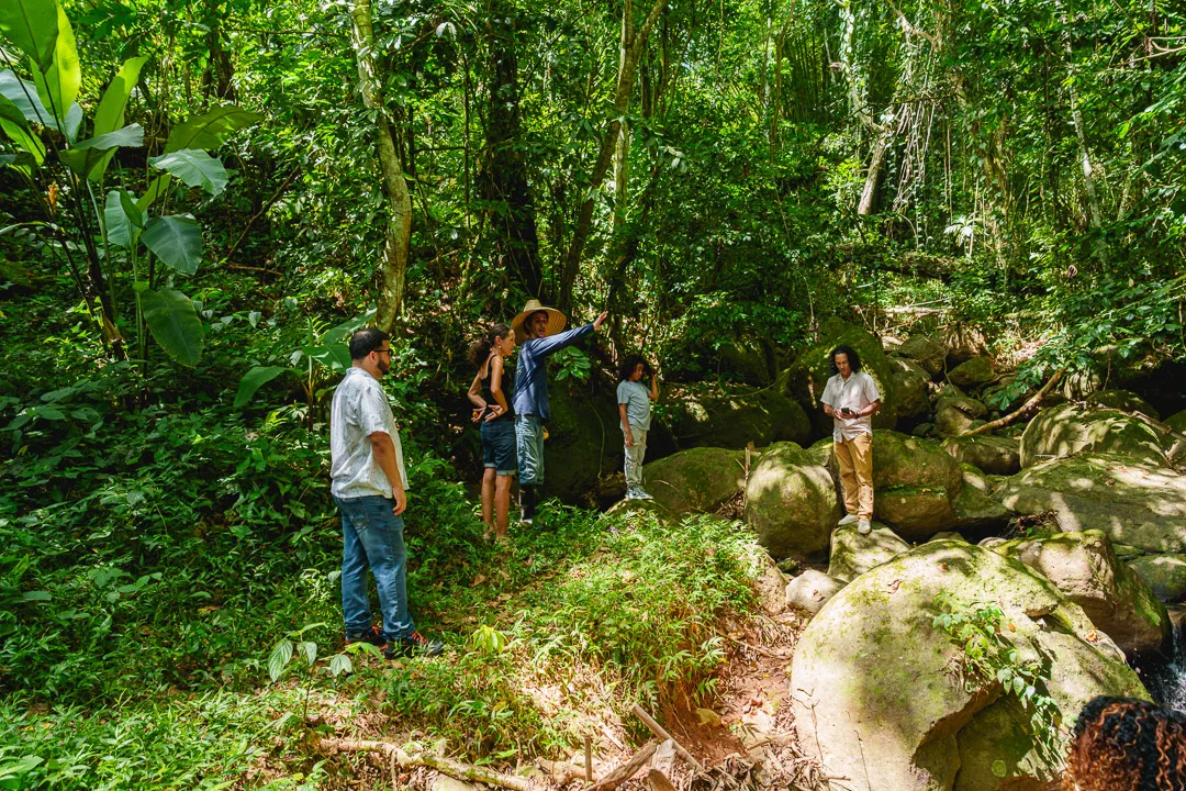 Grupo de personas en un sendero del bosque tropical con vegetación densa y rocas cubiertas de musgo