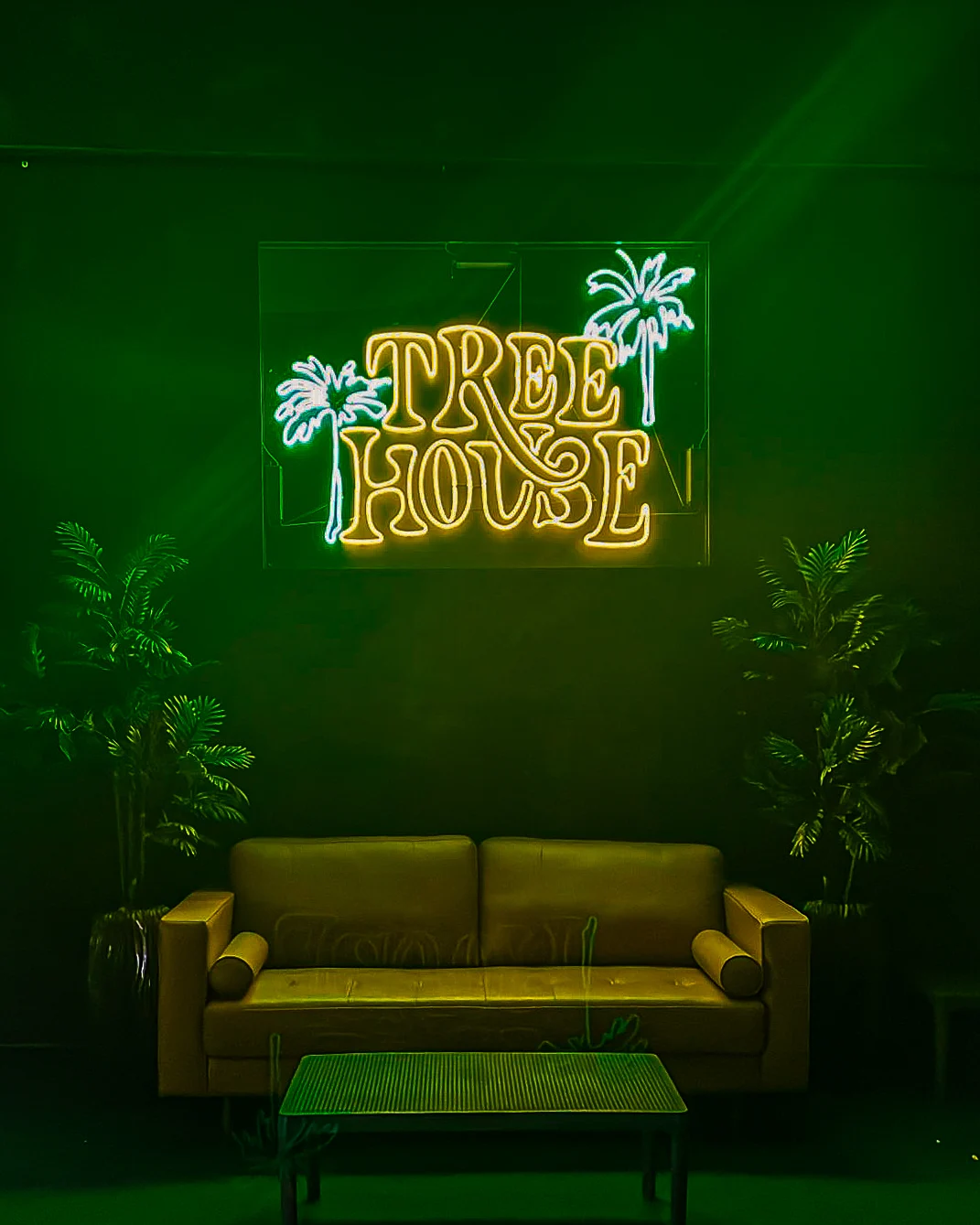 Google owner photo. Attribution: Tree House - Calle Cerra (https://maps.google.com/maps/contrib/103950062709188411714)