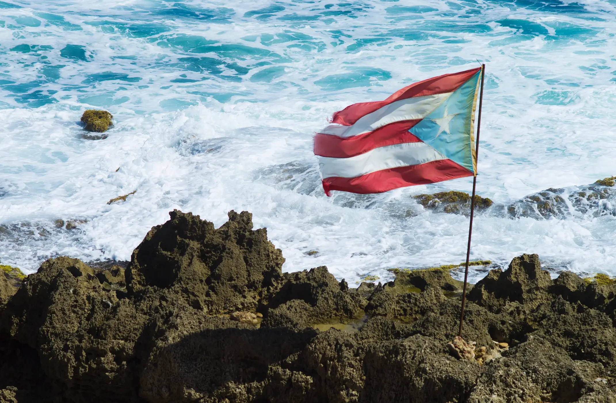 Bandera de Puerto Rico.