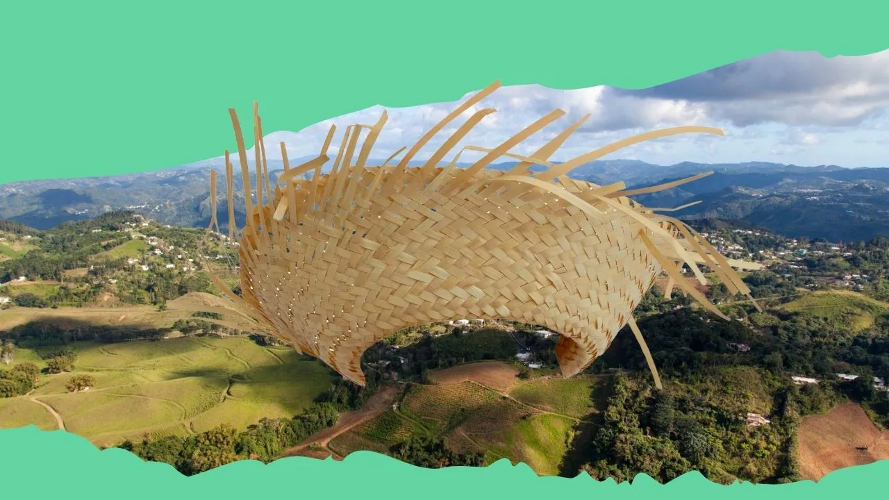 de-cana-a-cultura-popular-la-pava-nunca-se-quita