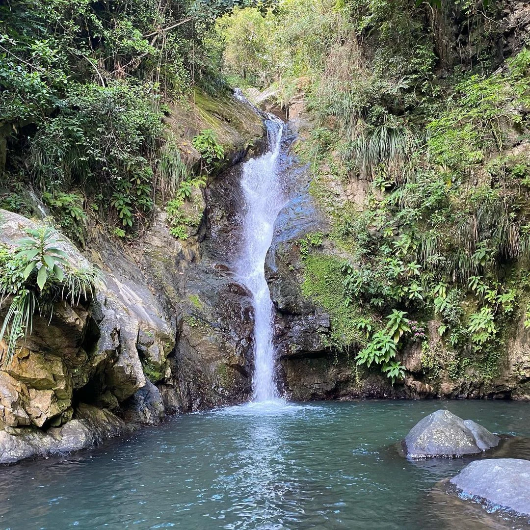 La Soplaera, Peñuelas