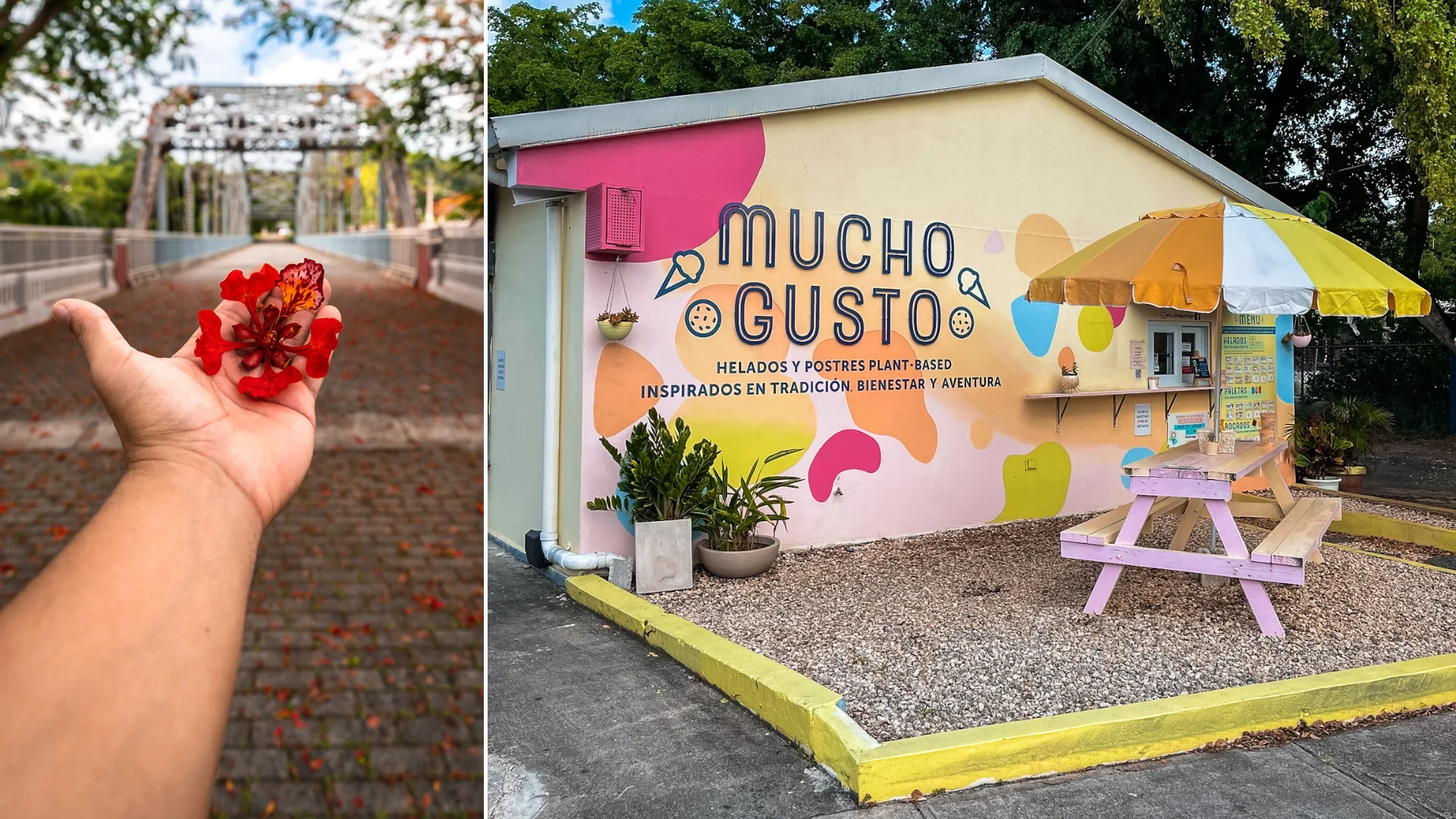 que-hacer-en-trujillo-alto-puerto-rico