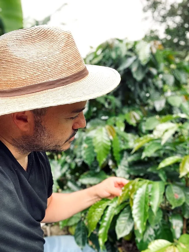 Imported from Google Places. Attribution: Hacienda Iluminada Coffee Farm (https://maps.google.com/maps/contrib/114207871359834125286)