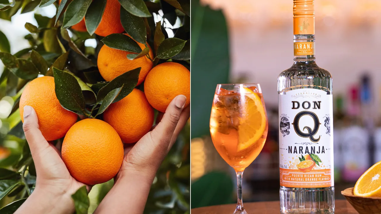 destileria-serralles-lanza-nuevo-sabor-de-don-q-naranja