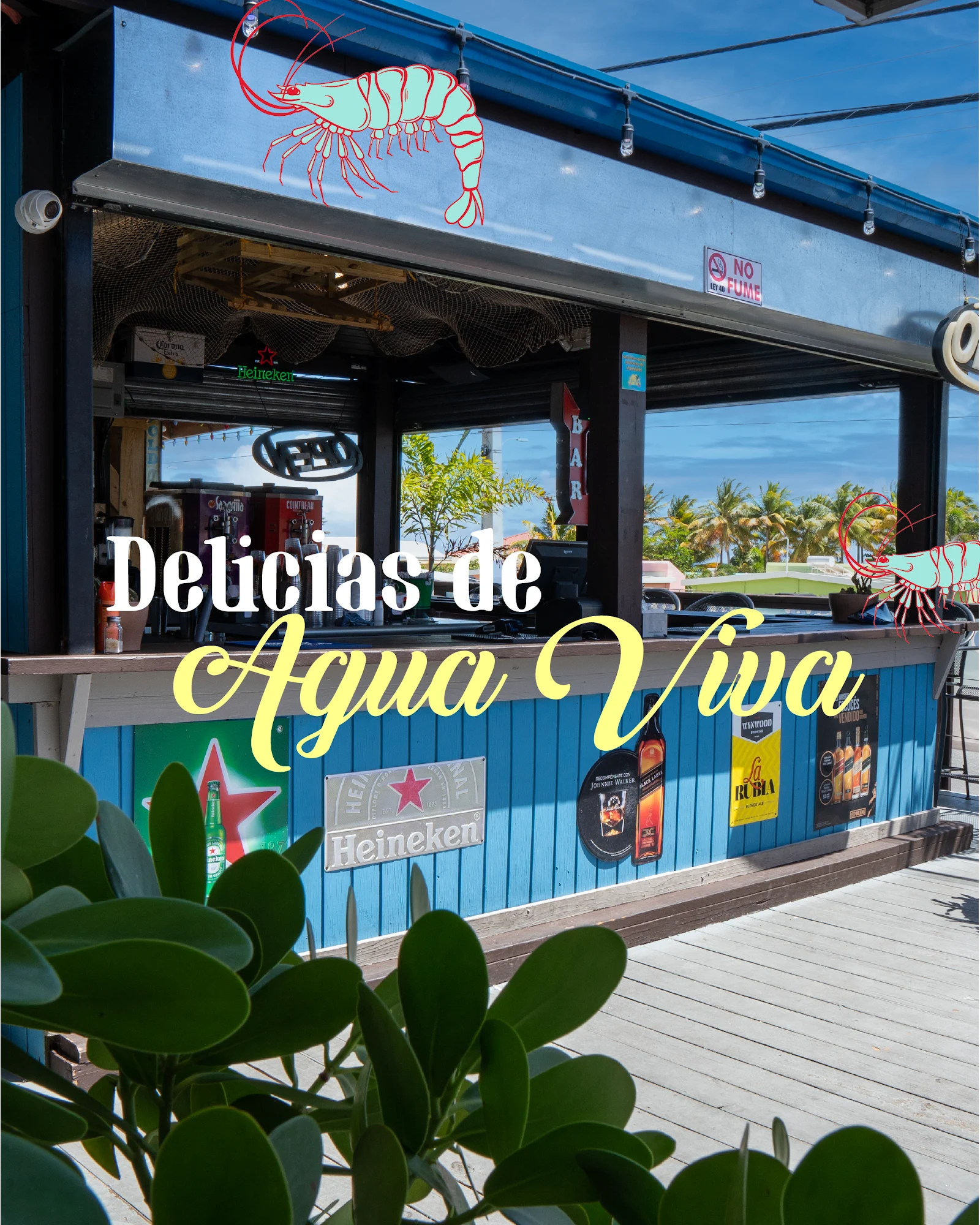 Agua Viva Restaurant & Bar