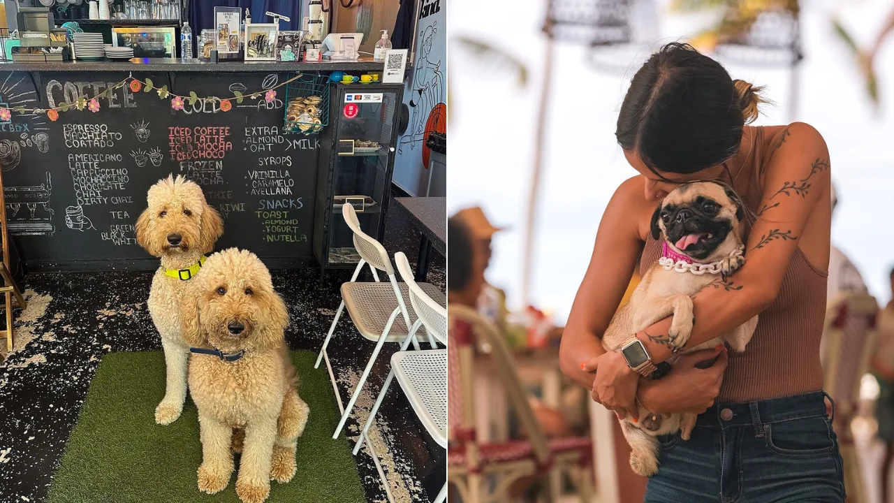 restaurantes-participantes-del-pet-friendly-restaurante-week