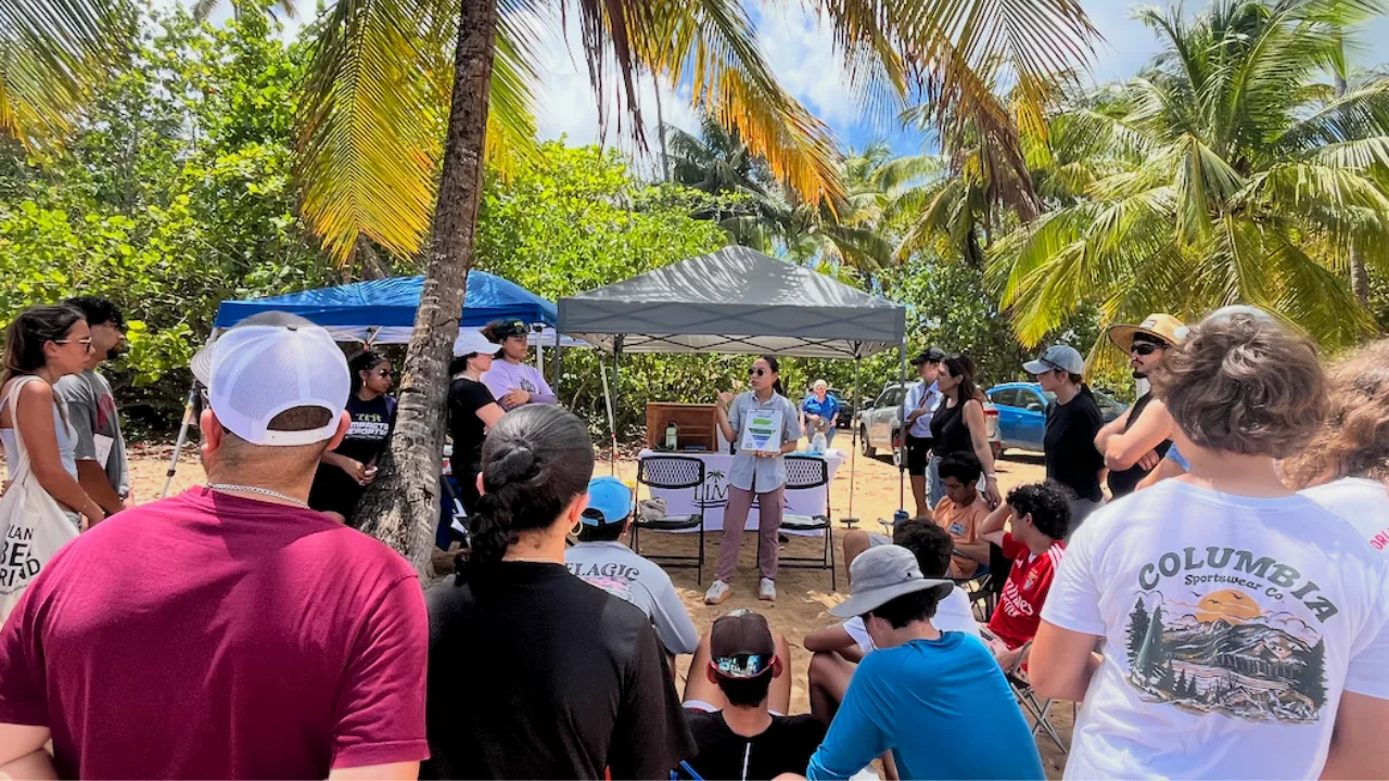 reciclaje-en-puerto-rico-guia-completa