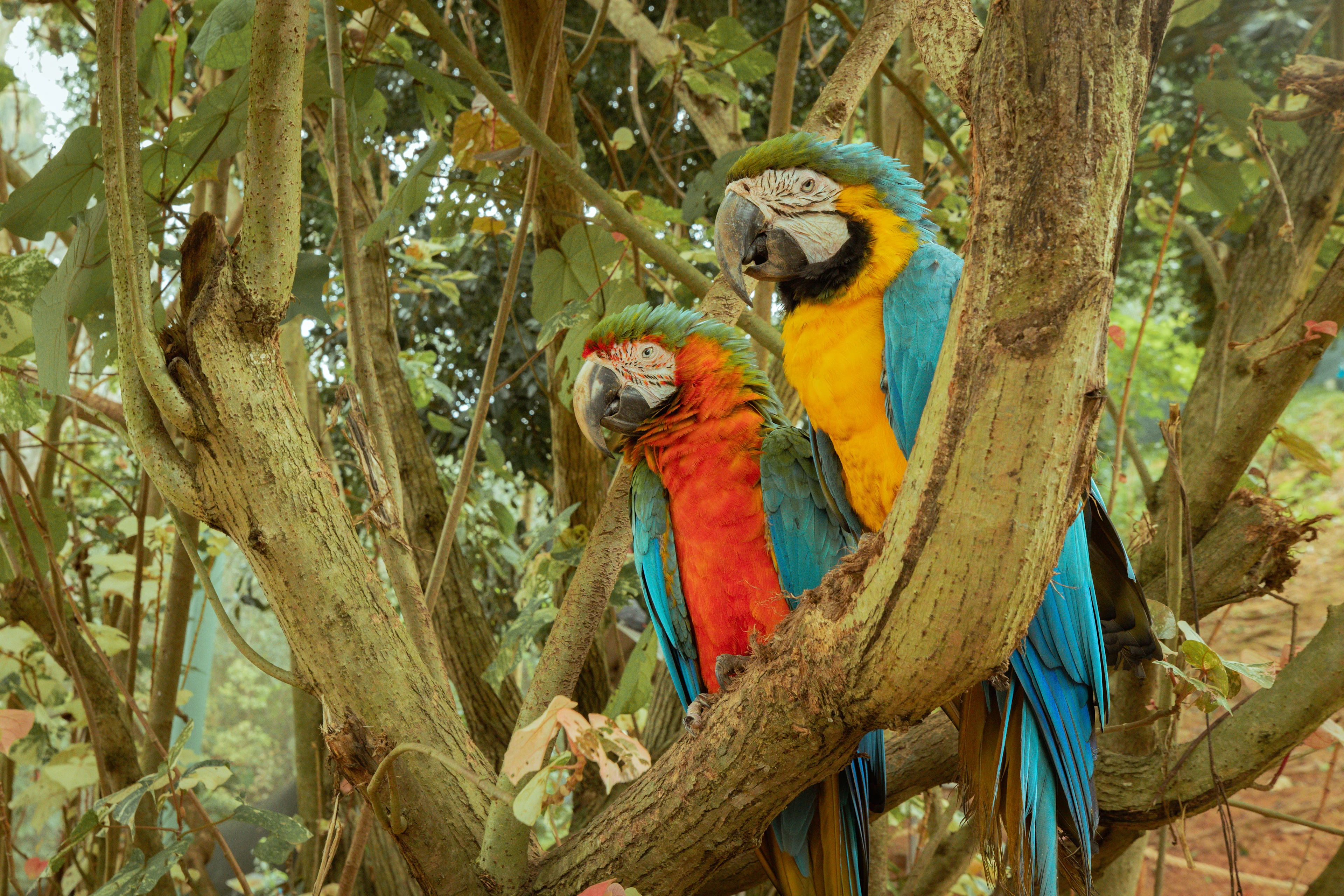 Parque Forestal la Marquesa