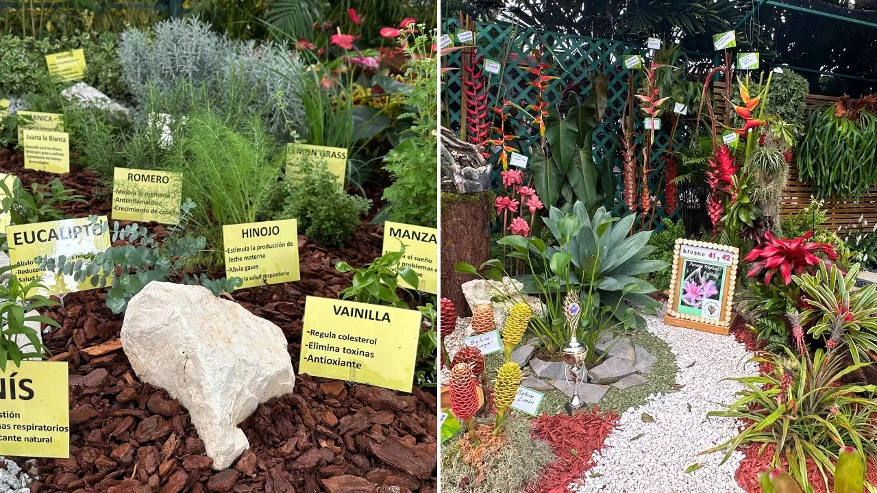Guía del Festival de las Flores 2026: qué ver, cómo llegar y qué hacer