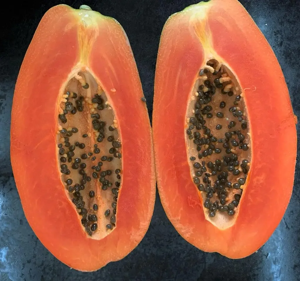 PAPAYA-MARADAL-ROJA.webp